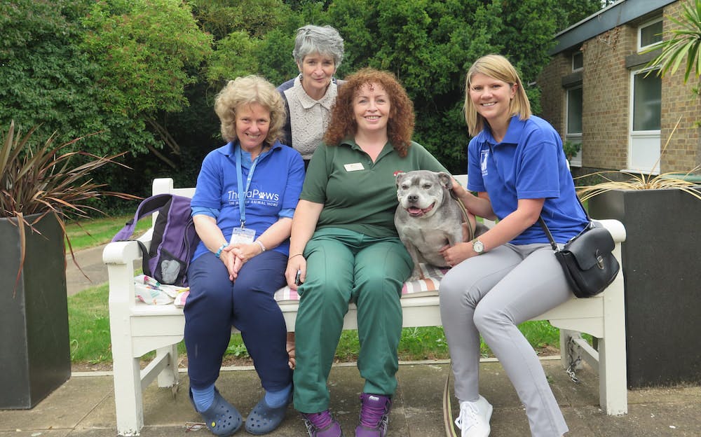 The Mayhew Animal Home Volunteer: 'How My Rescue Dog Helps People'