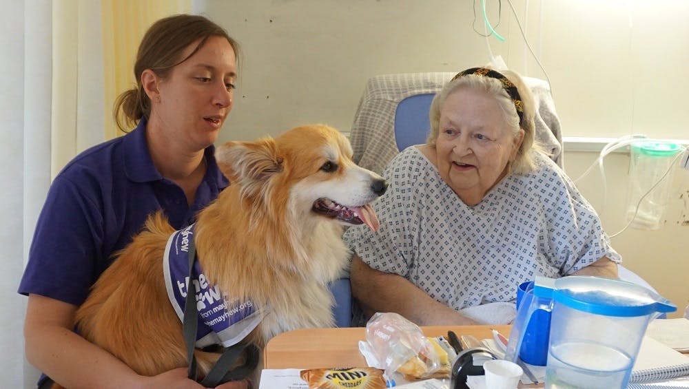 Celebrity Dog Visits Alzheimer's Patients