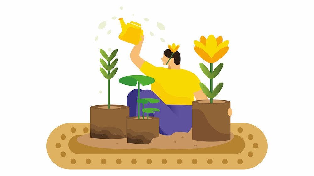 How to Benefit from Plant Power When You Don't Have a Garden
