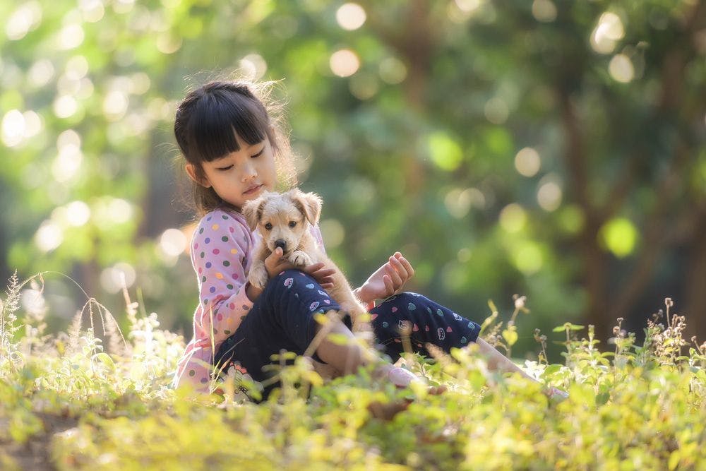 Can Animal Assisted Therapy Help Young People?