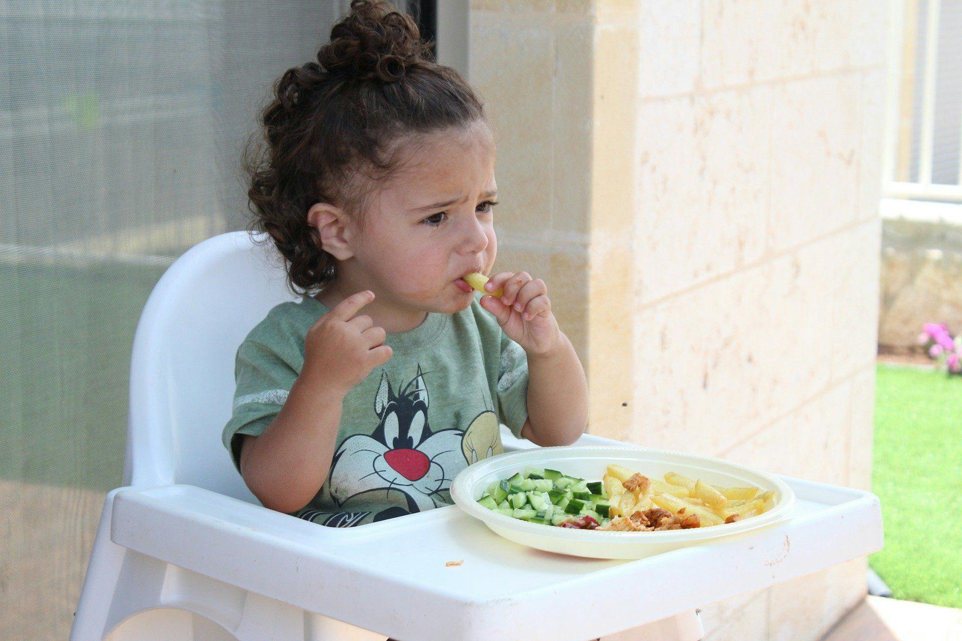 New guide seeks to help parents reduce stress surrounding kids fussy eating