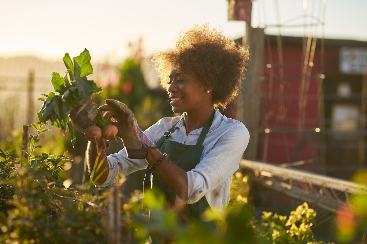 Why gardening is good for your mental health post-pandemic