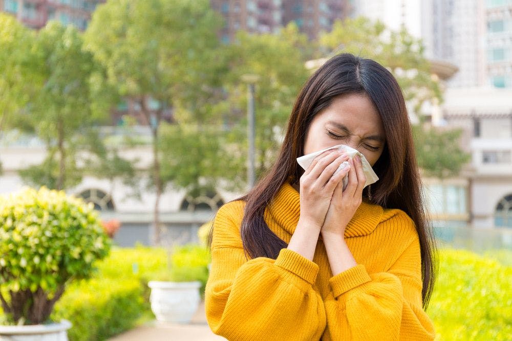 How to deal with hayfever, and take care of your wellbeing