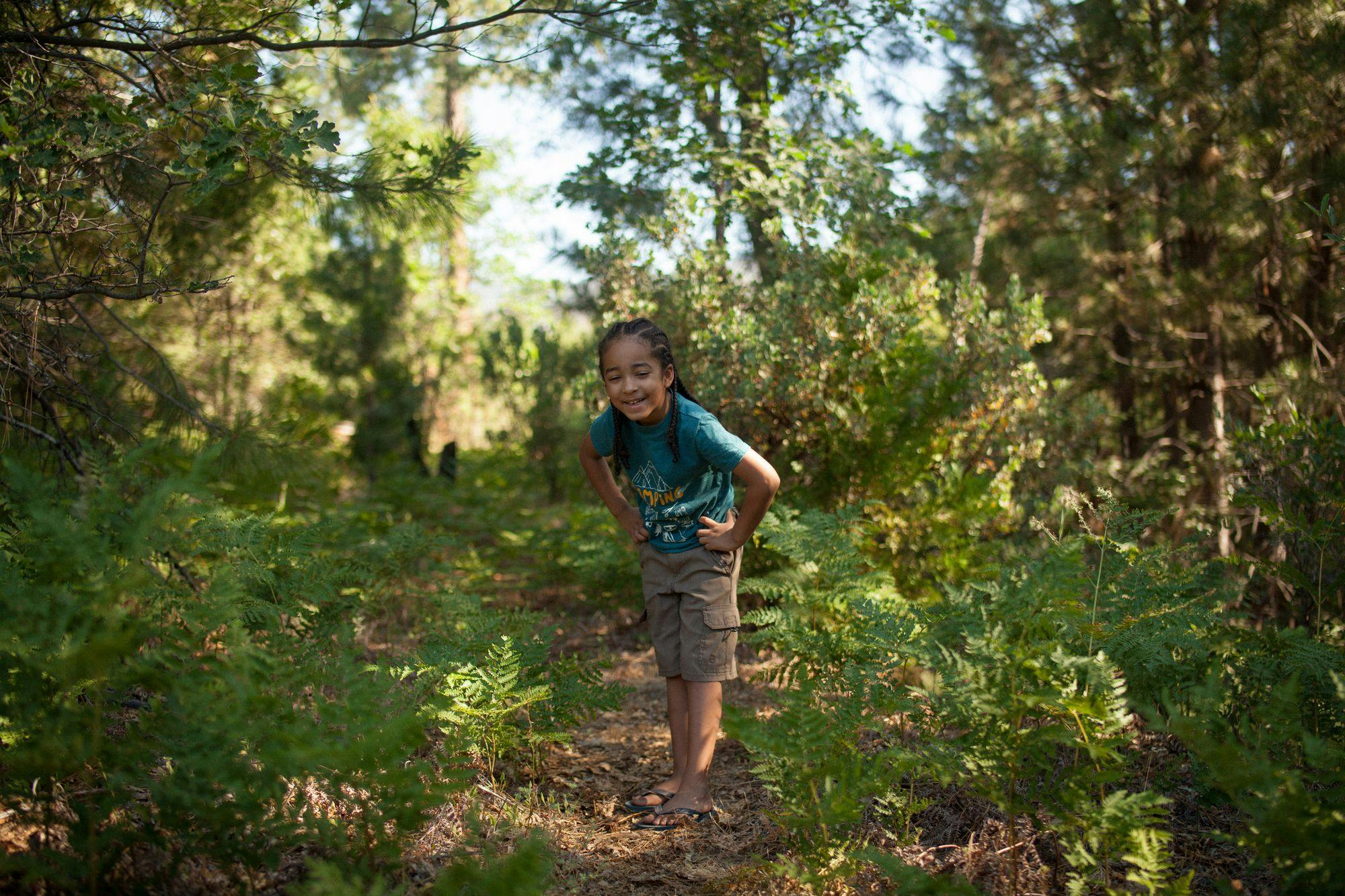 Living near woodland benefits children’s mental health, study finds