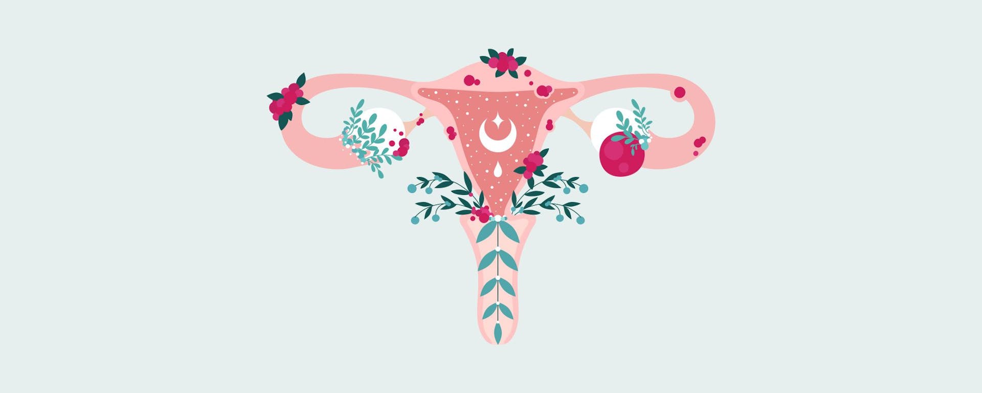An abstract illustration of the structure of a womb, fallopian tubes and ovaries