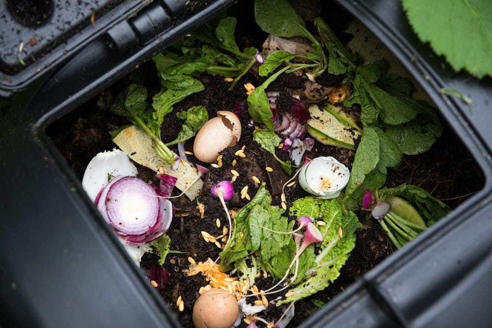 5 simple steps to reduce food waste