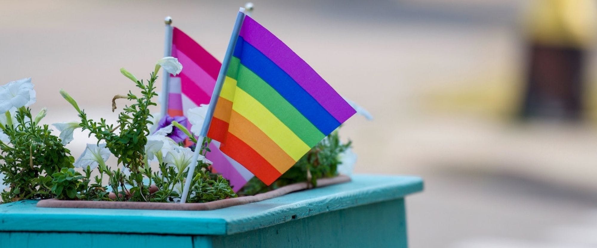 Understanding the prejudice against, and struggles of the LGBTQIA+ community