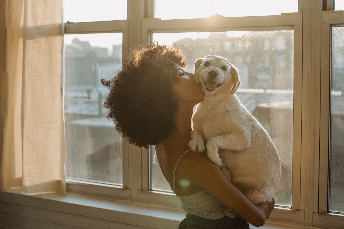 Discover dogs: six breeds to benefit your mental health