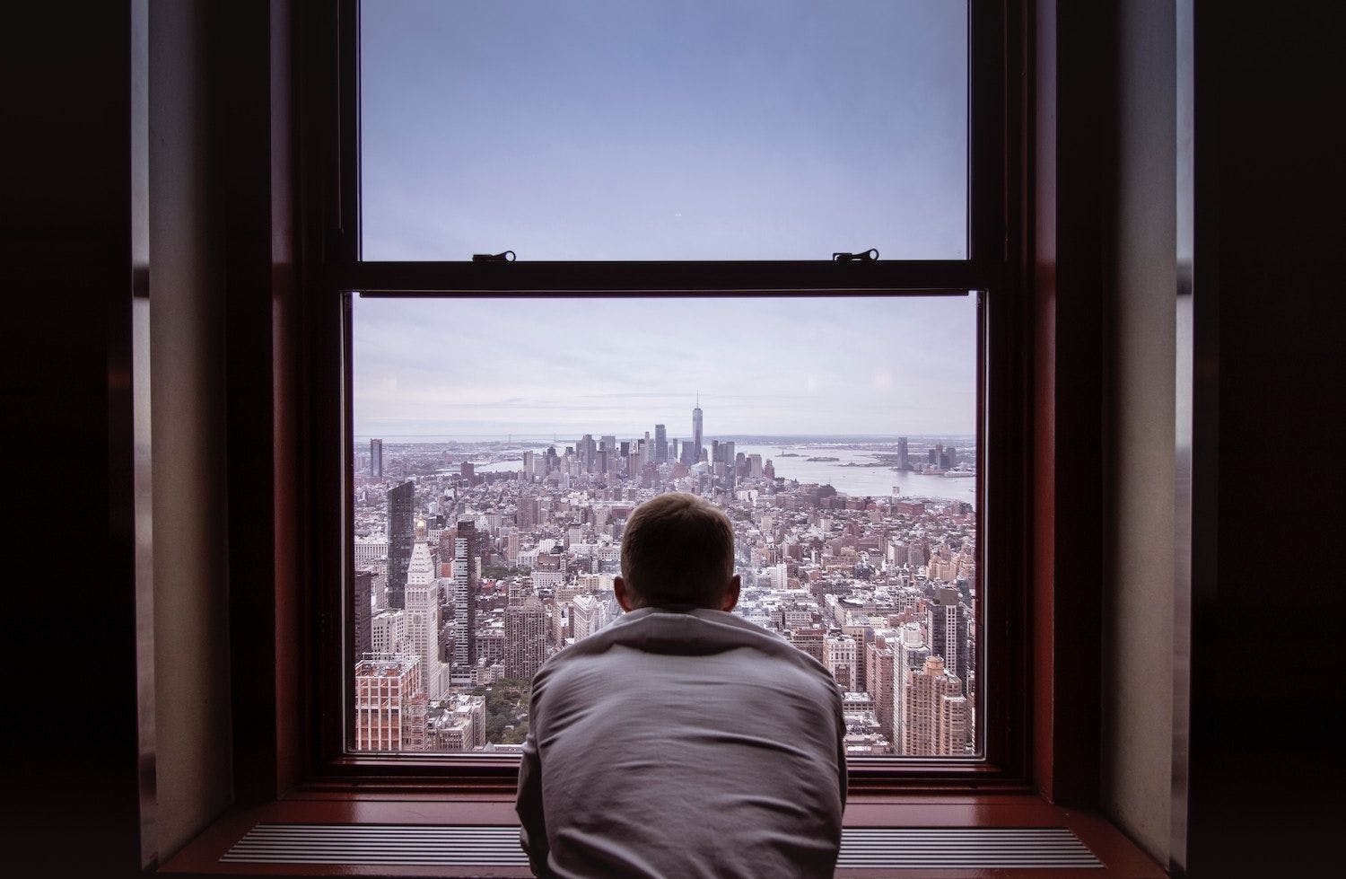 Person looking out of window over city.