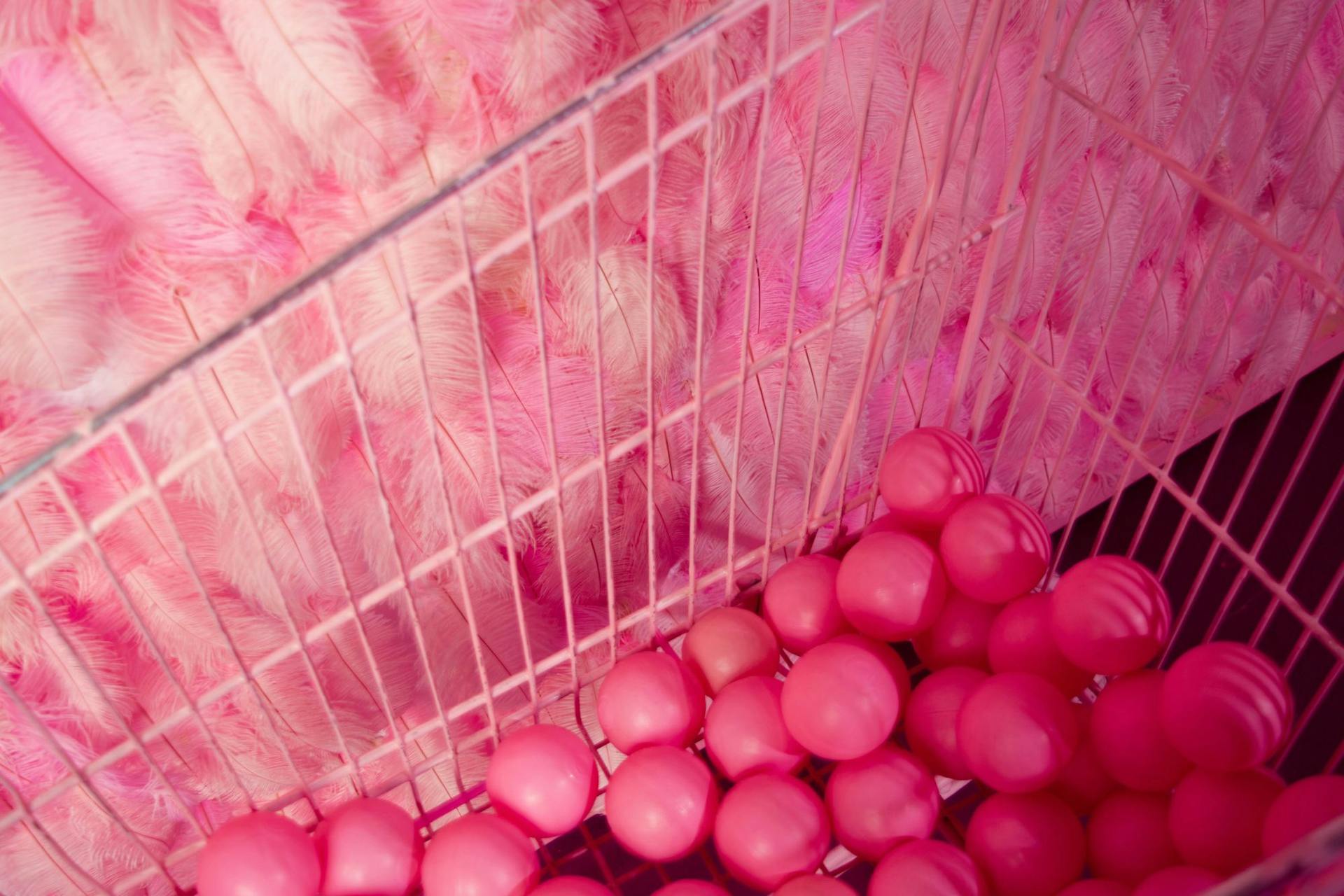 Pink balls in a shopping basket