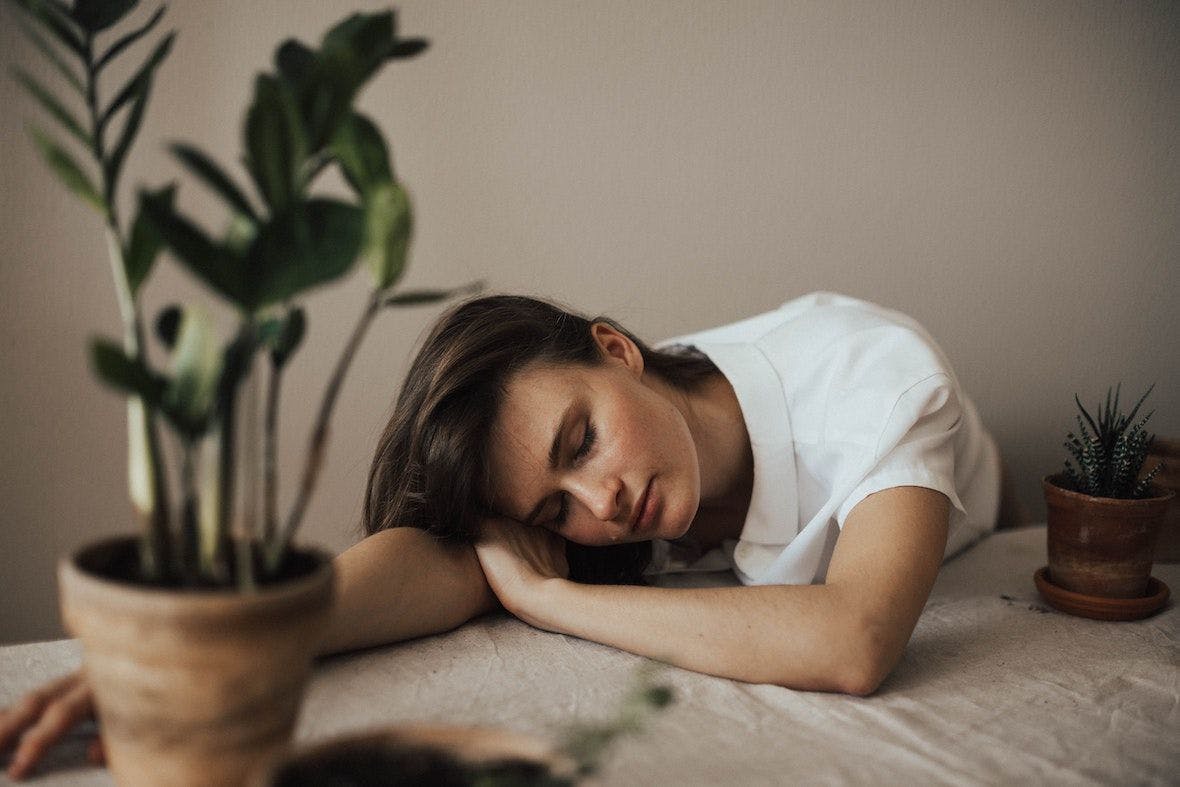 Grow your own sleep aids: The houseplants that can help you sleep better