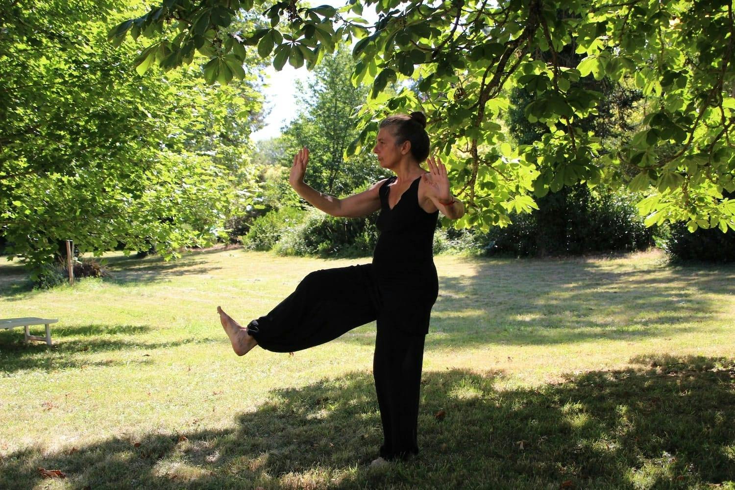 Person stood in a Tai chi pose on grass surrounded by trees. 