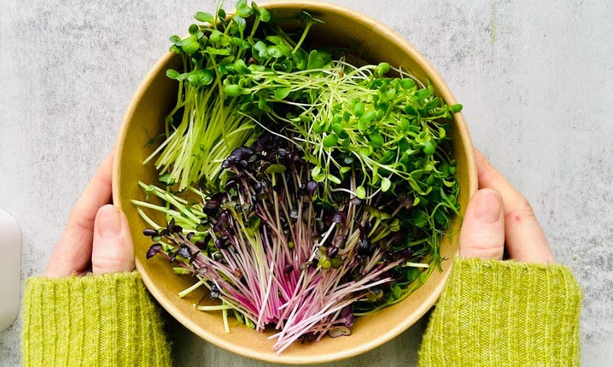 What’s the deal with microgreens?