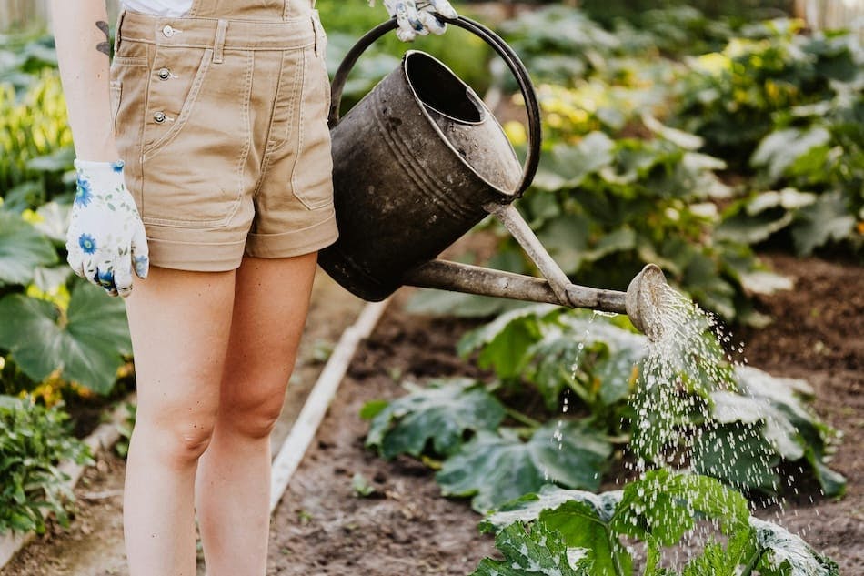 5 spring garden jobs that also boost your wellbeing