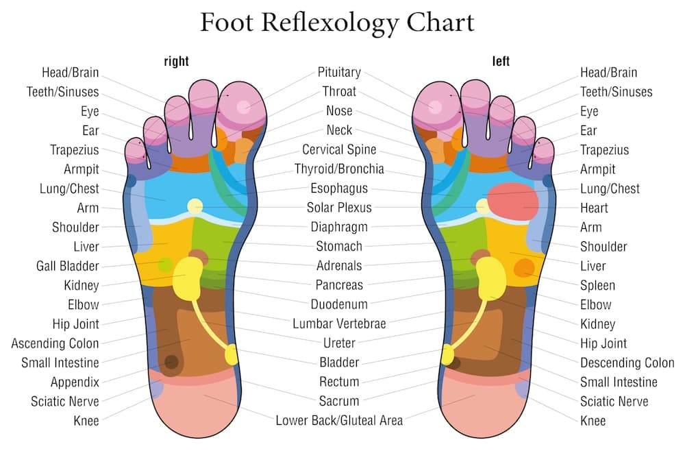 foot reflexology chart