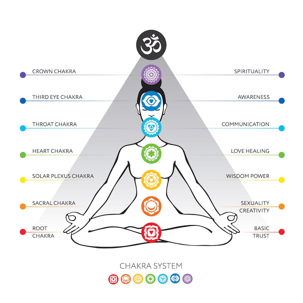 This is a diagram of the seven chakras and where they are located on the body. They are the crown chakra, third eye chakra, throat chakra, heart chakra, solar plexus chakra, sacral chakra, and the root chakra.