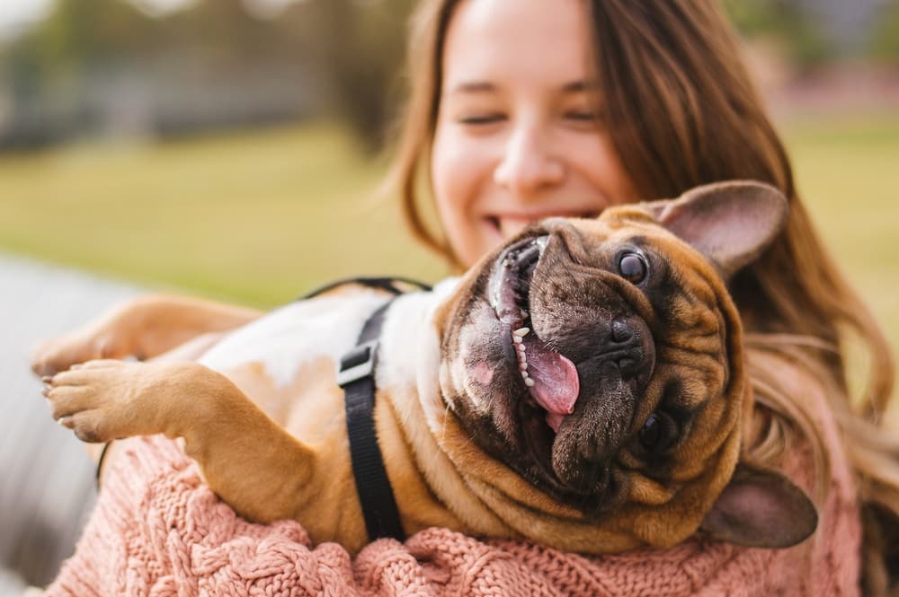 This is photo of a funny dog being cuddled by its owner