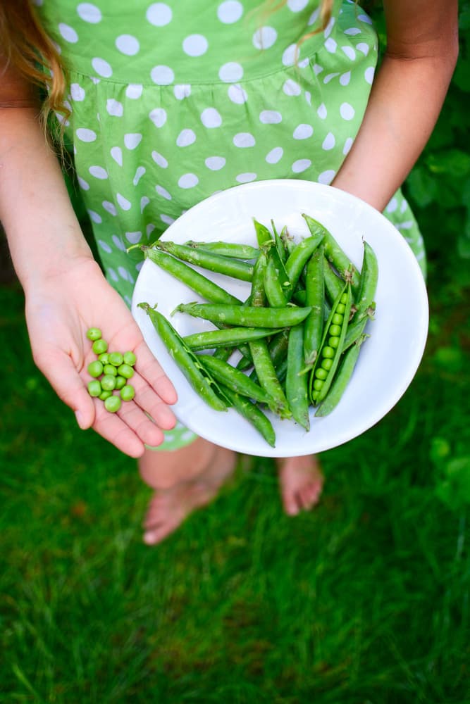 Child's diet