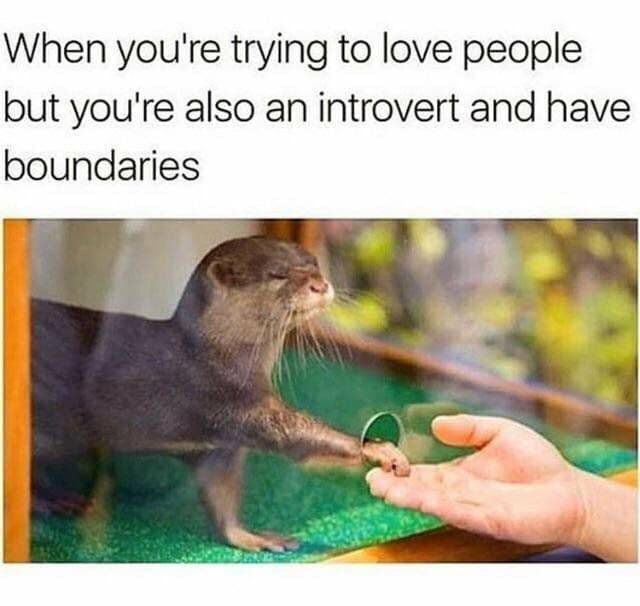 wholesome memes