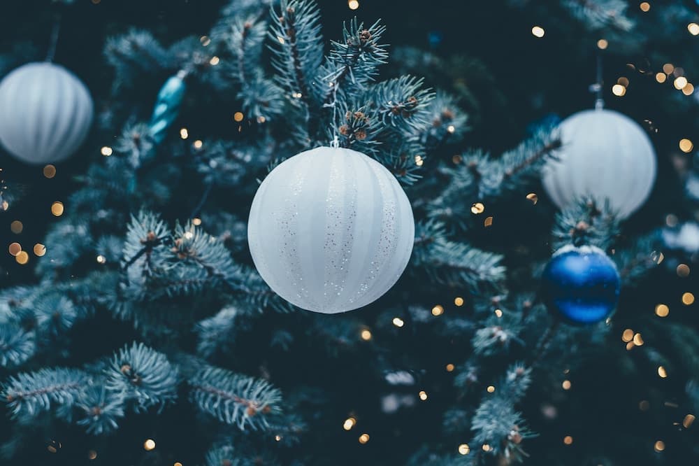 Lonely Christmas