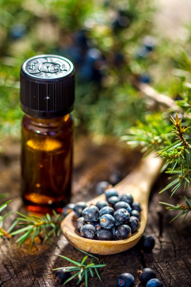 Aromatherapy