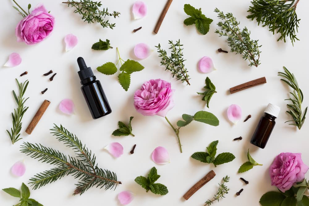 Everyday Aromatherapy