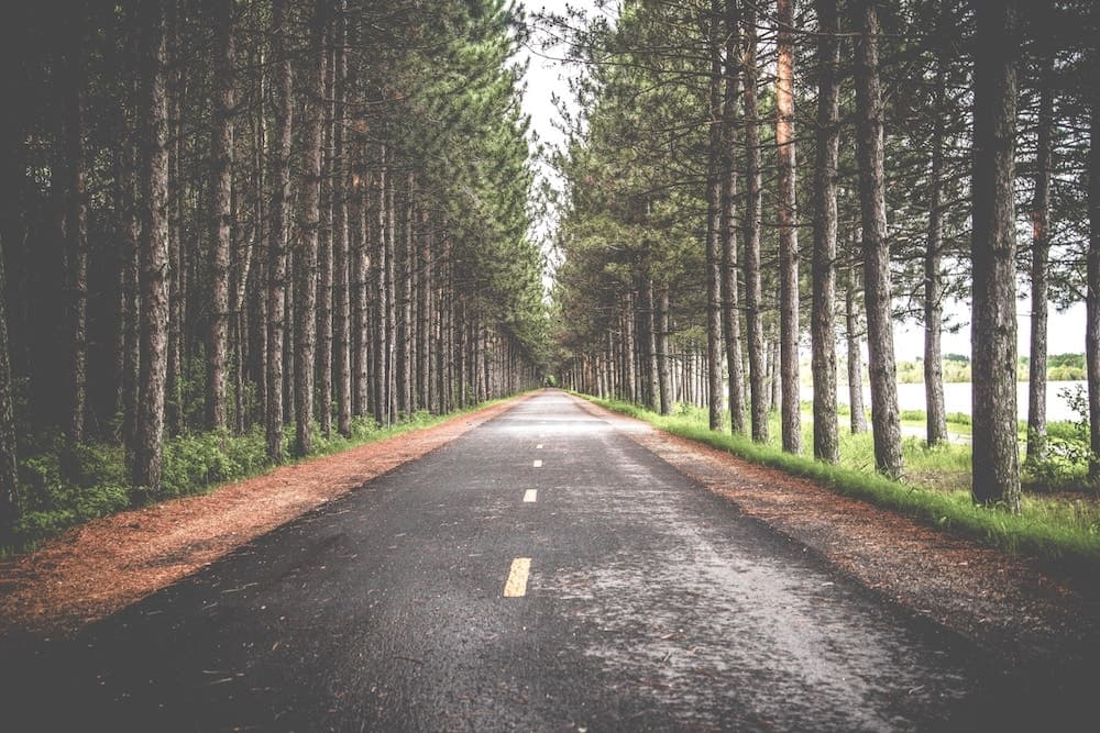 How to Stay on Your Journey to Recovery