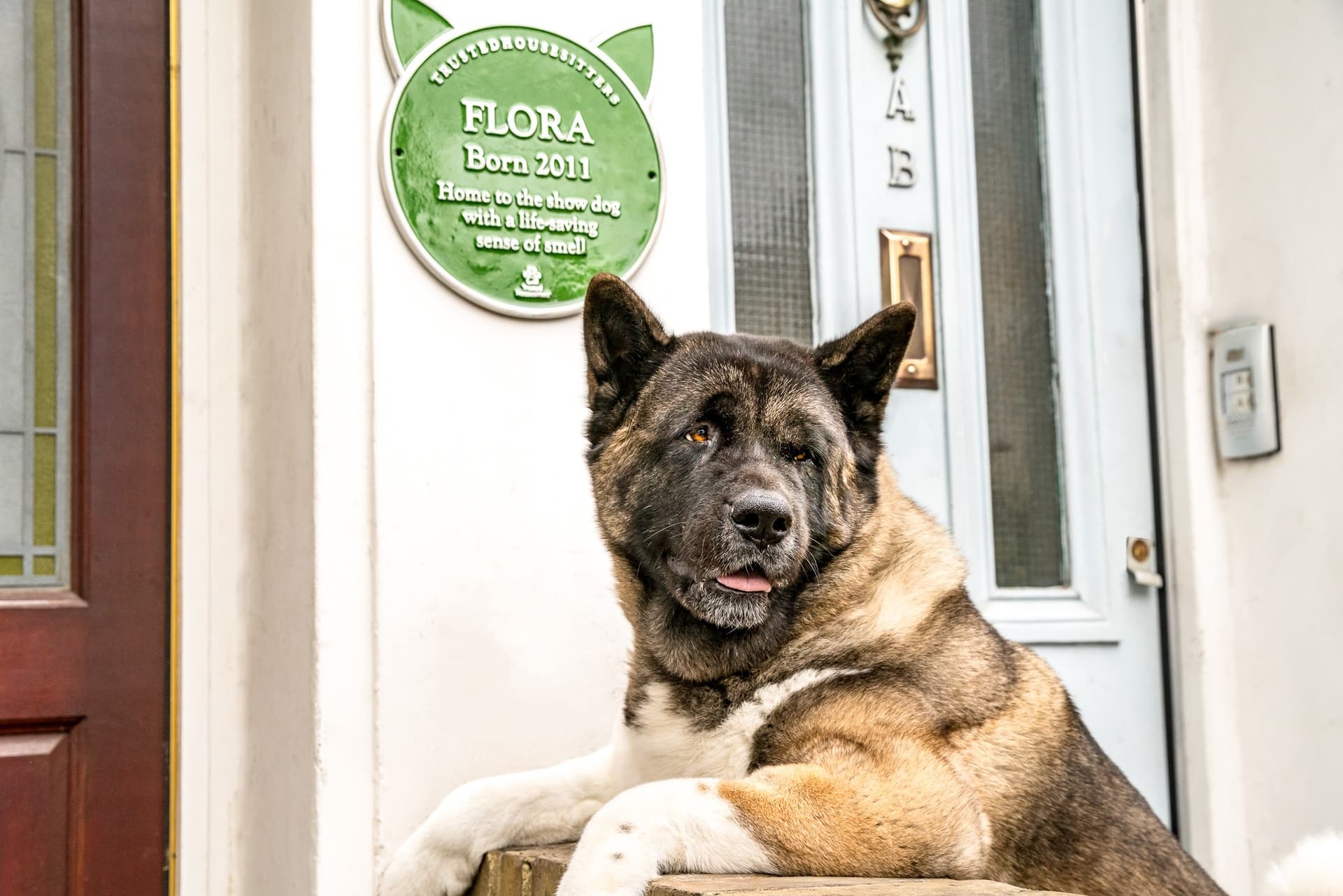 New Scheme Launches to Recognise Incredible Animals in the UK
