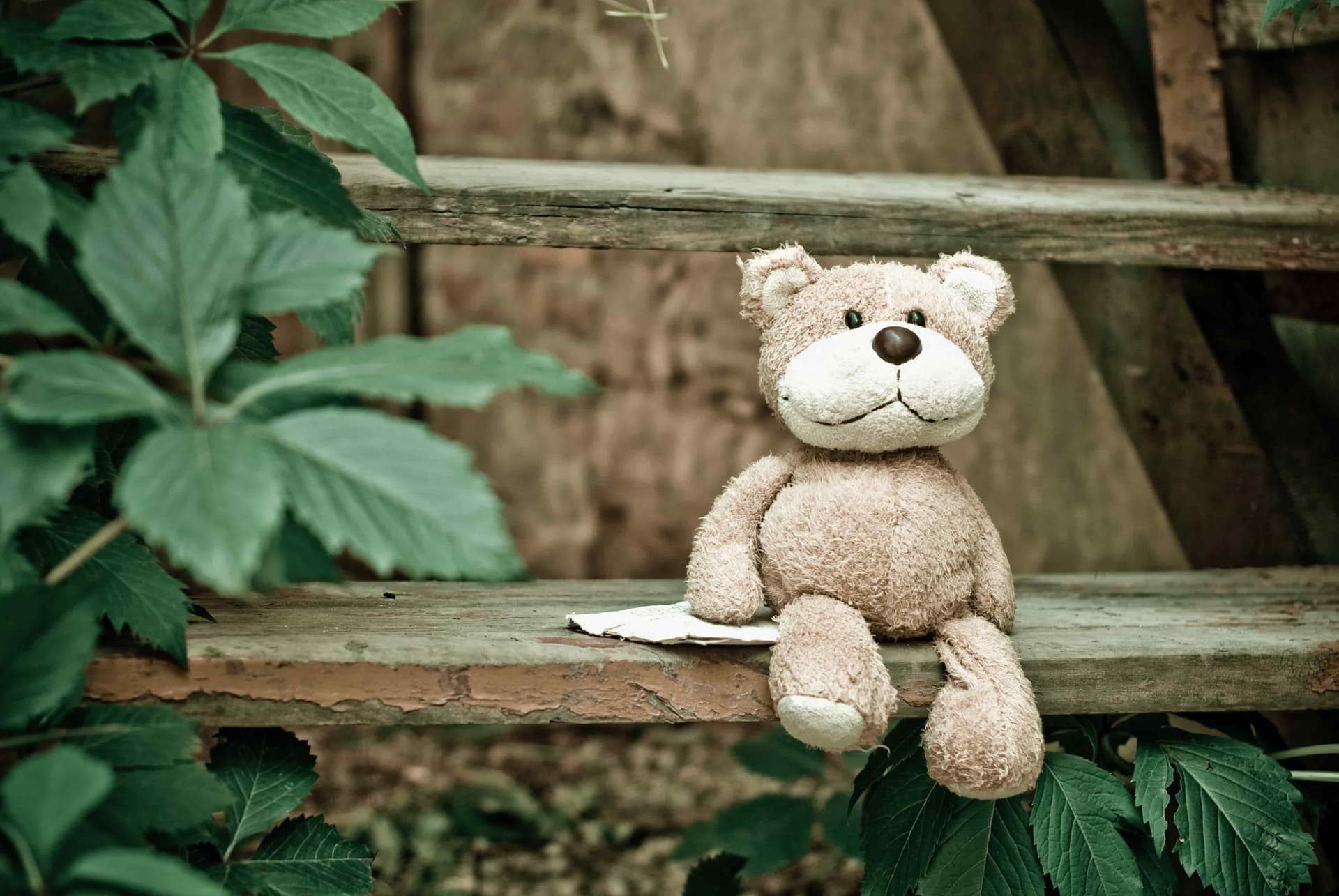 Three Uplifting News Stories To Brighten Your Bank Holiday Weekend