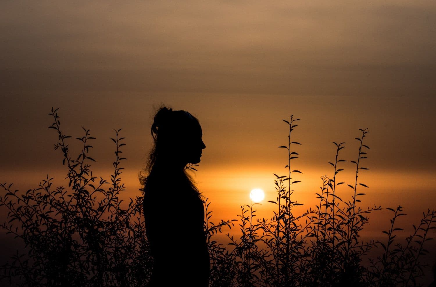 Domestic Abuse Victims More Likely to Suffer Mental Illness, Study Reveals