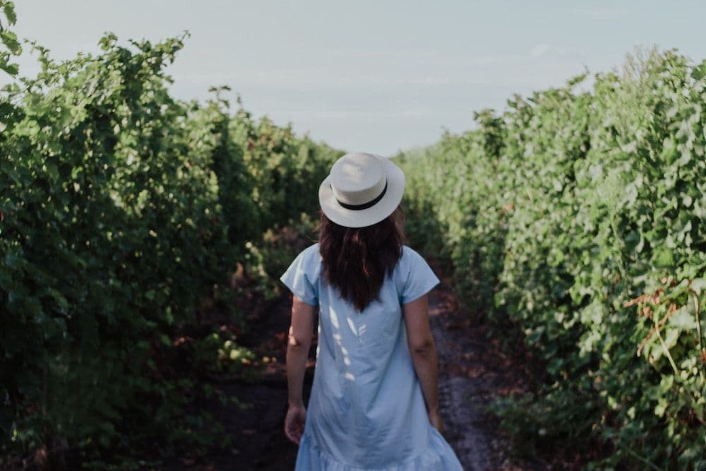 Breaking Free from My Obsessive Compulsive Thoughts: Suz's story
