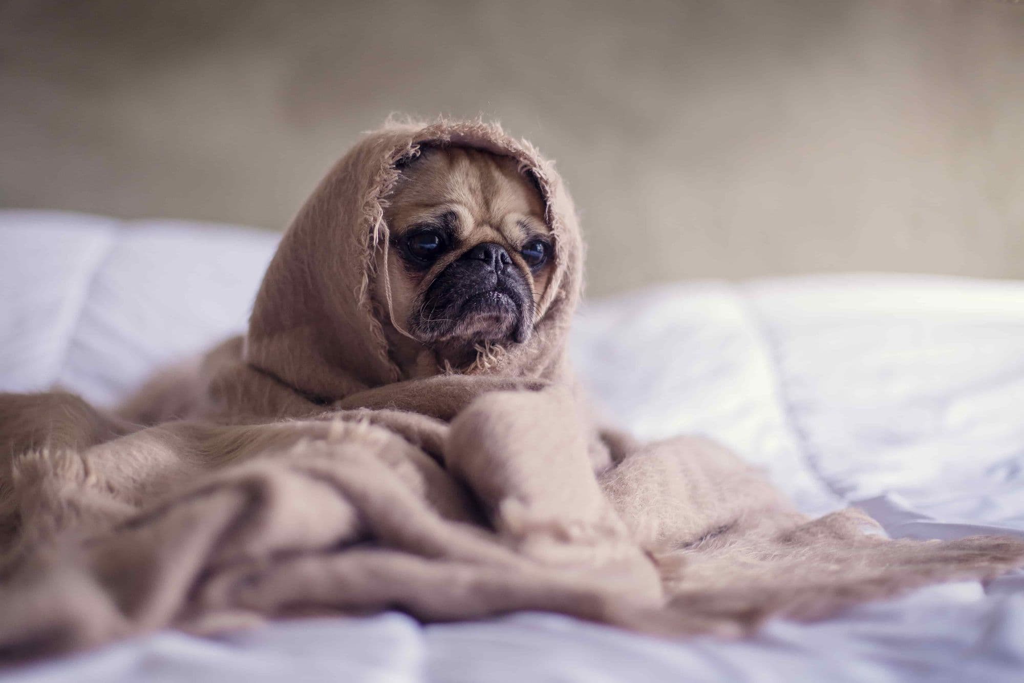 What is orthosomnia (and is it ruining your sleep)?