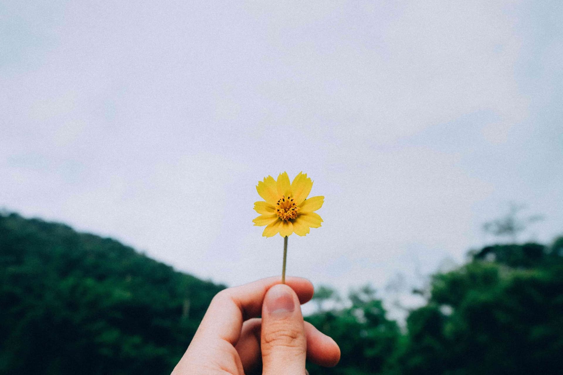 Happiness More Important Than Economic Prosperity, New Global Survey Reveals