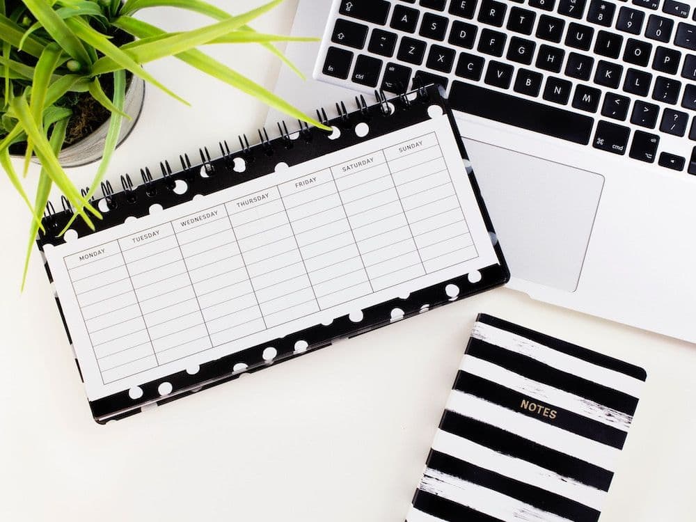Our Top 10 Picks for January