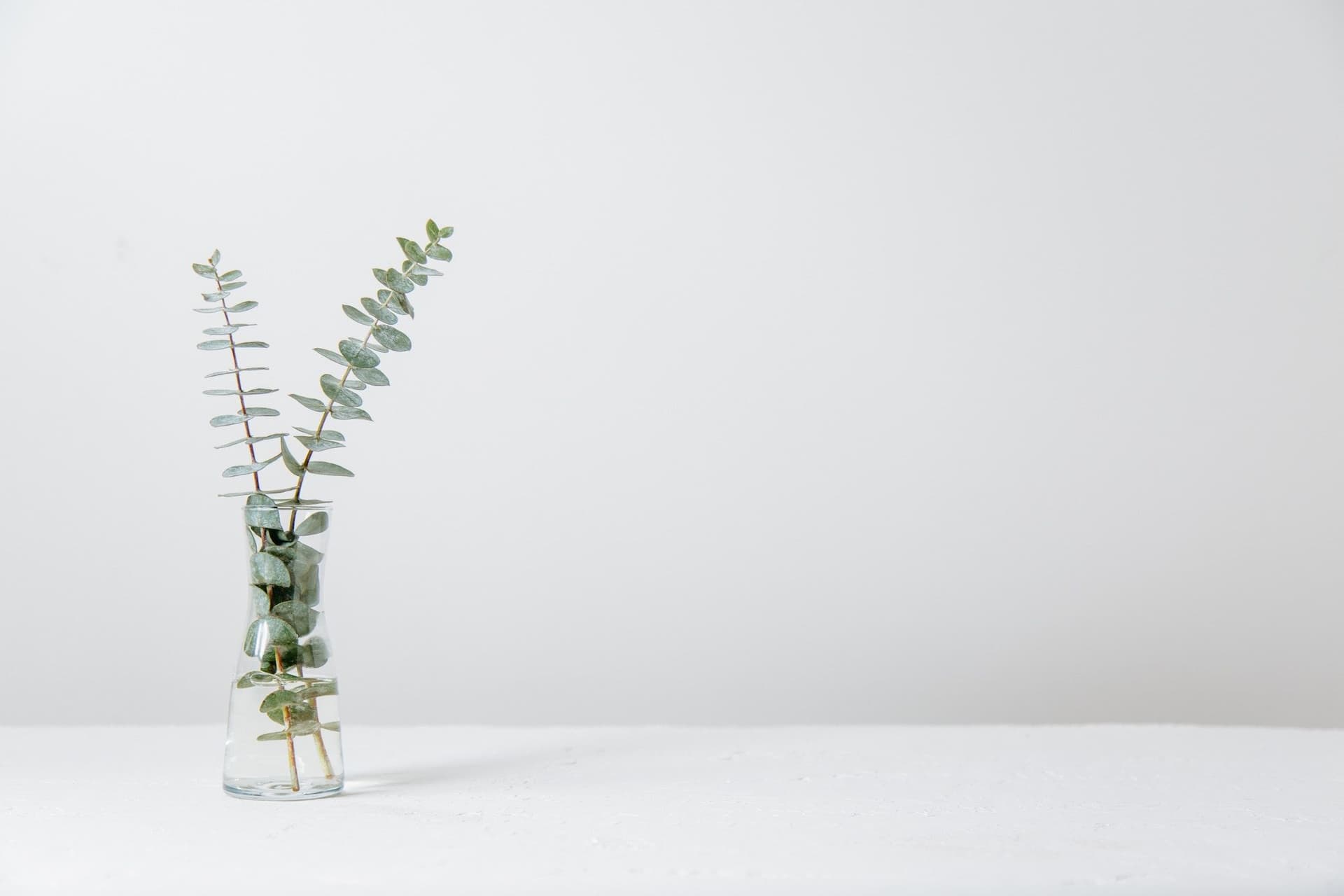The Complete Guide to Complementary and Alternative Therapy