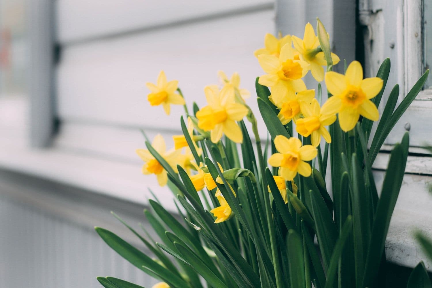 3 mental health moments happening today