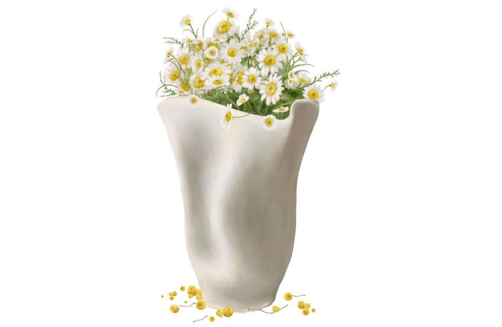 BJohnston_camomile_happiful_may21