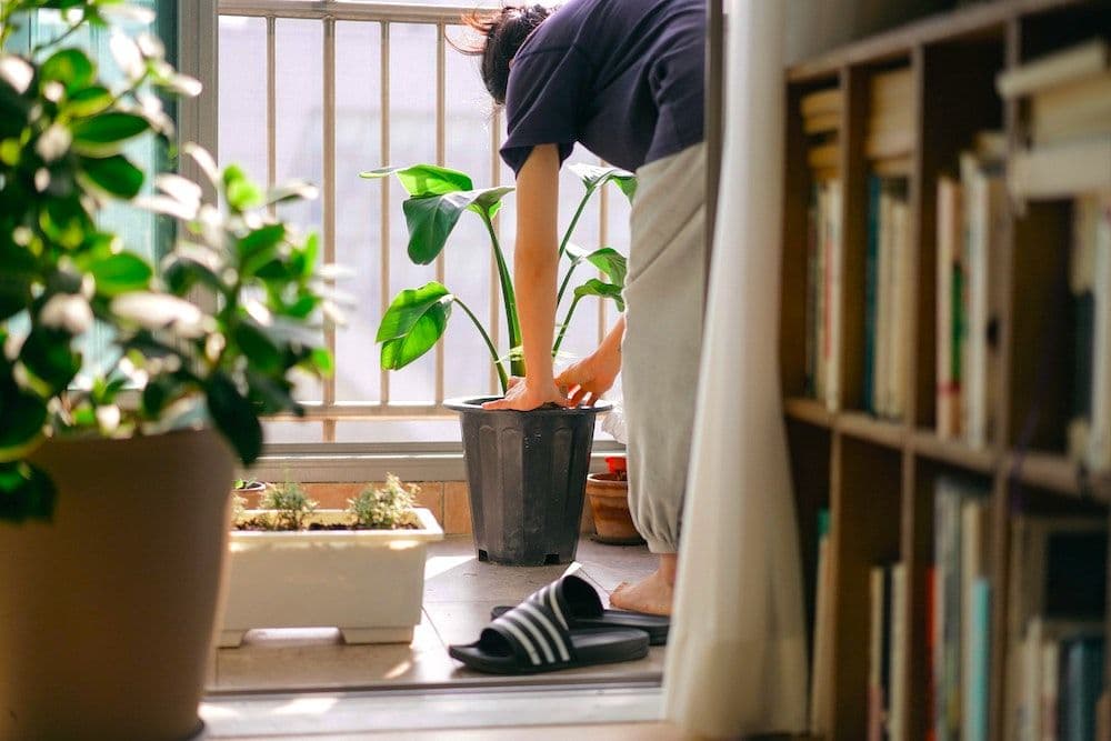 Back to our roots: the benefits of self-sufficiency
