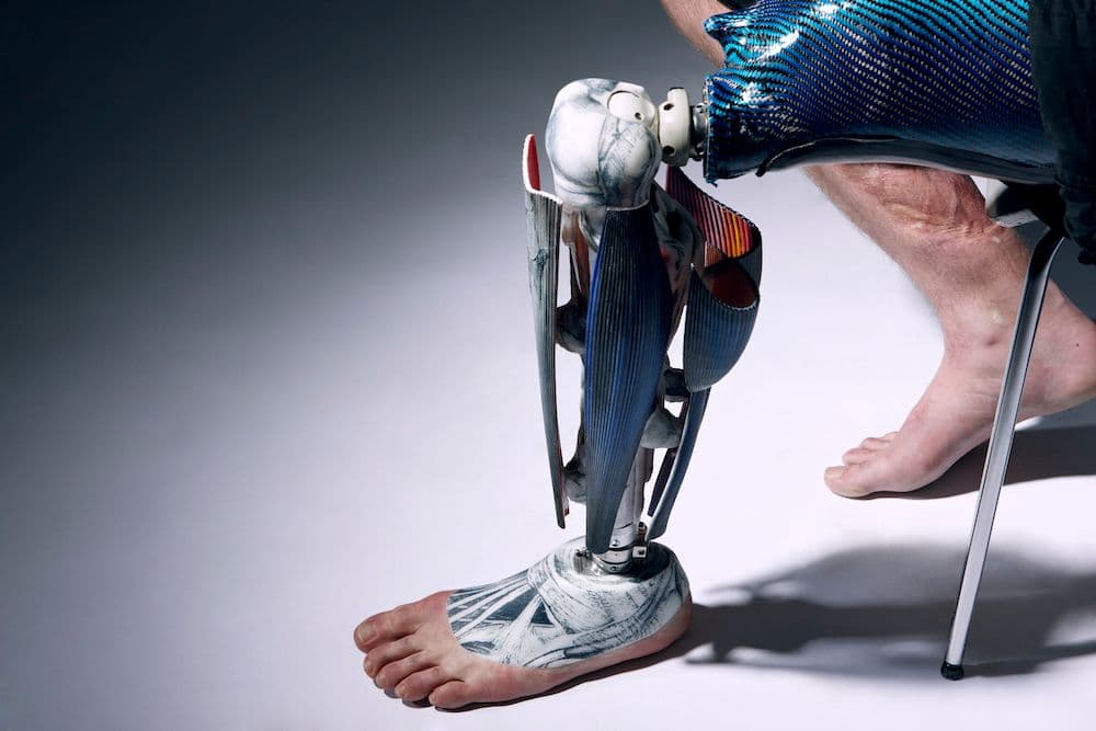 Anatomical-leg-1----Omkaar-Kotedia-1