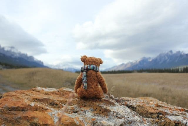 All snuggled up: Why do 1 in 10 adults sleep with their childhood teddies?