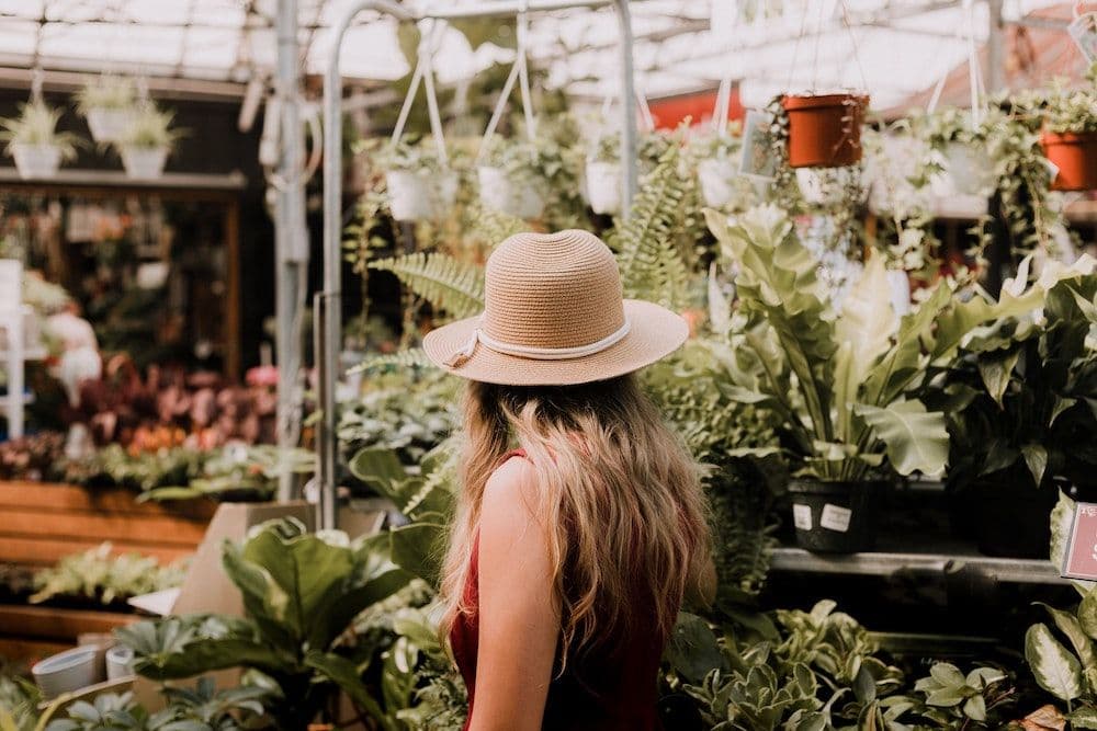 6 ways to make your winter garden a wellbeing oasis