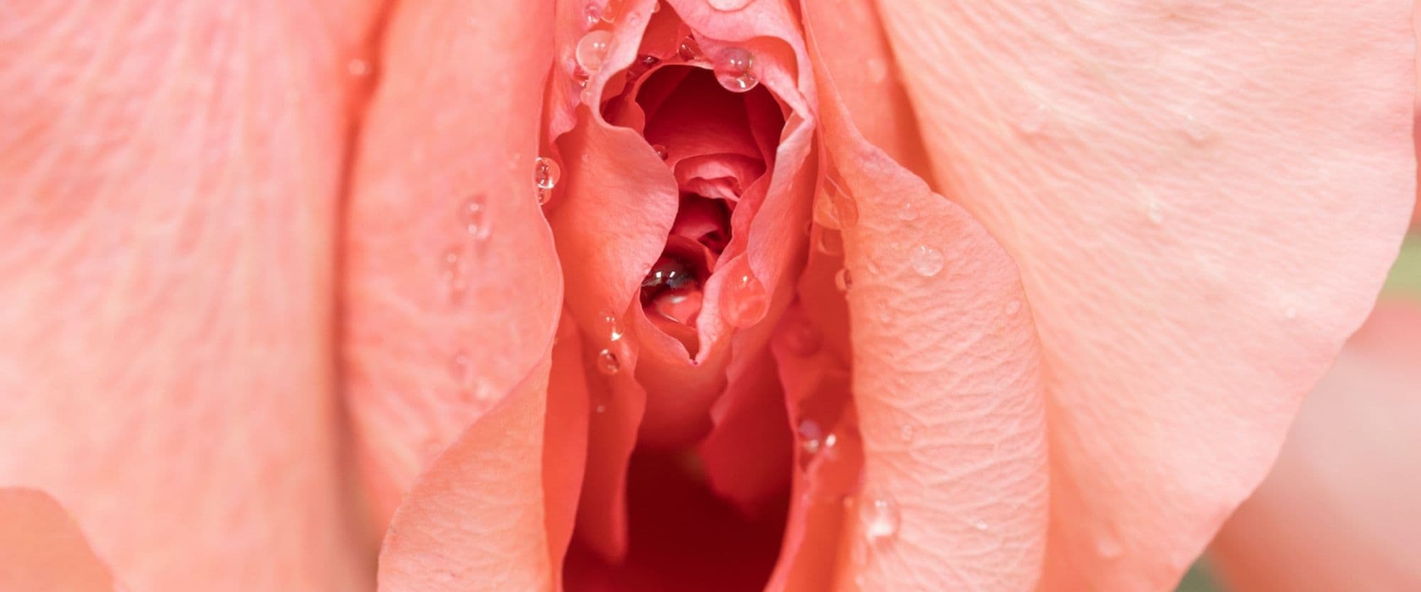 An essential guide to understanding vaginal health: what's normal and when to seek help