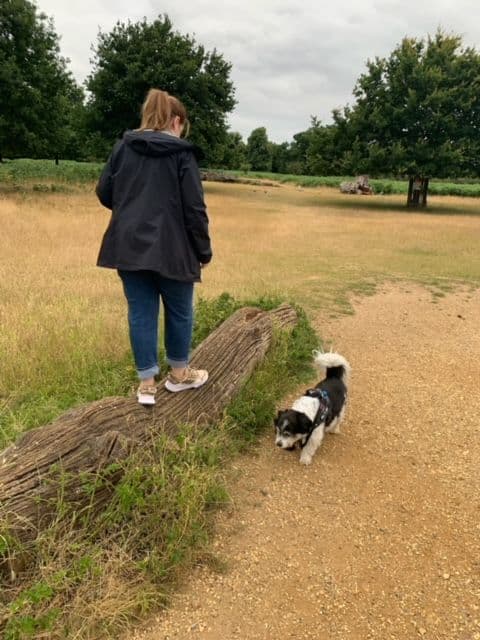 Walking-on-the-log