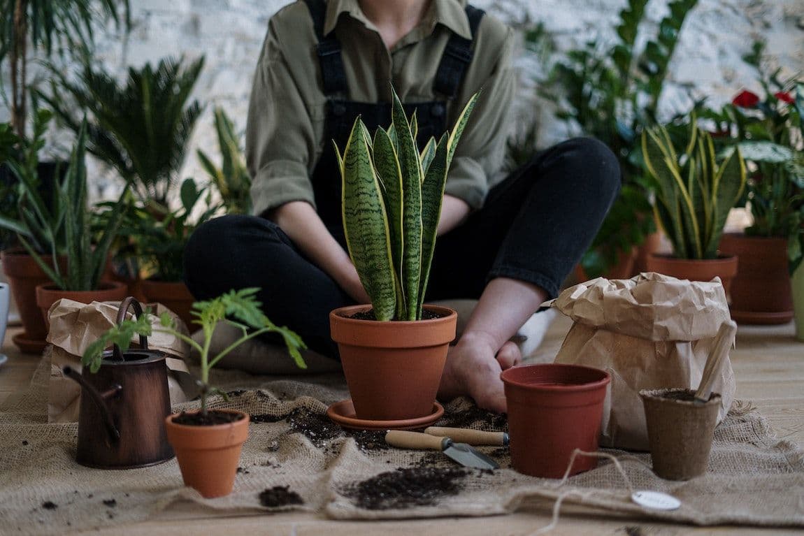 The ultimate guide to micro-gardening and growing your own in small spaces