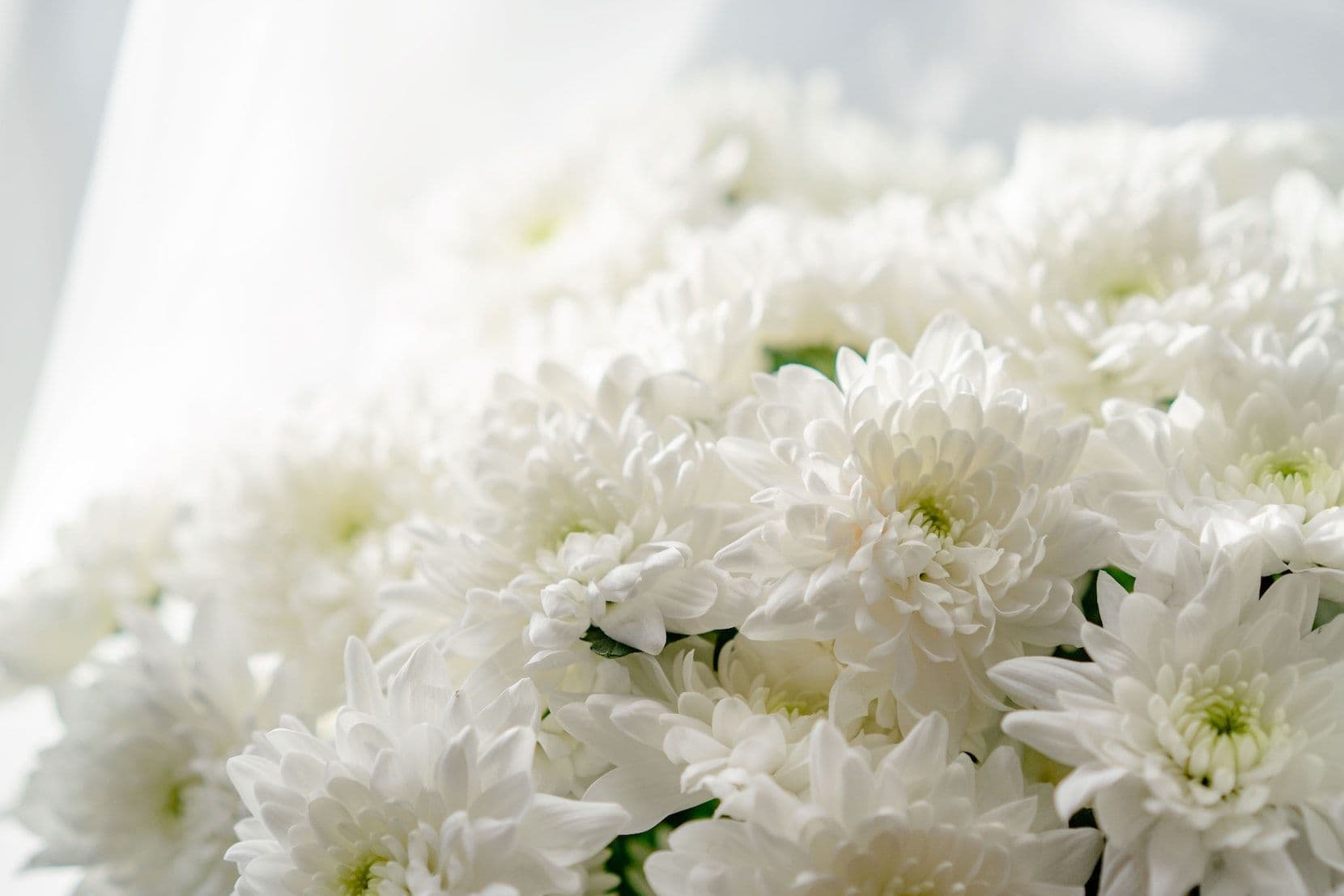Understanding grief: a guide to helping a loved one through bereavement
