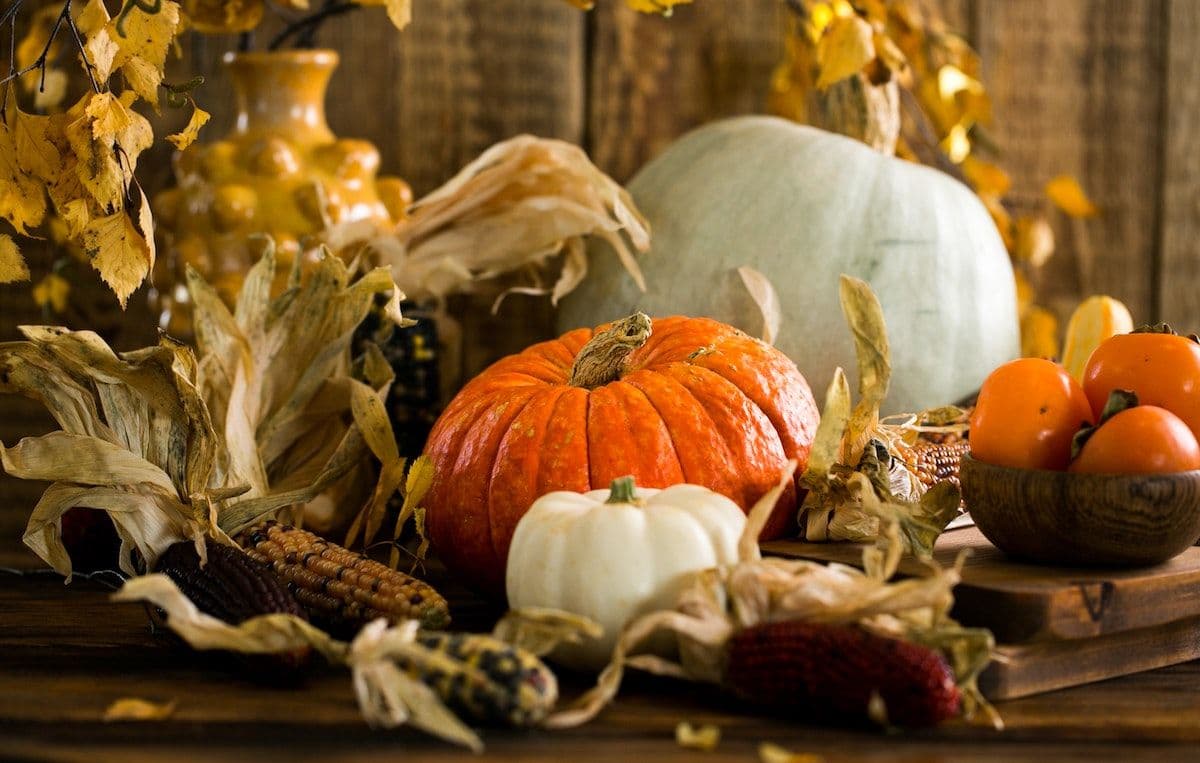 10 things to try this autumn to benefit your wellbeing