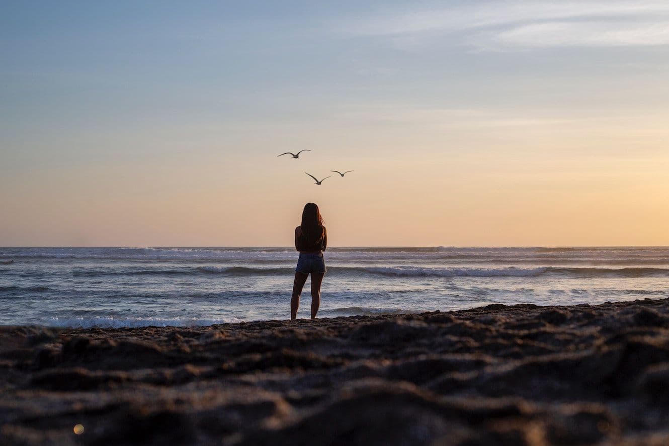 The power of having purpose: Uncover the secret to finding your ikigai