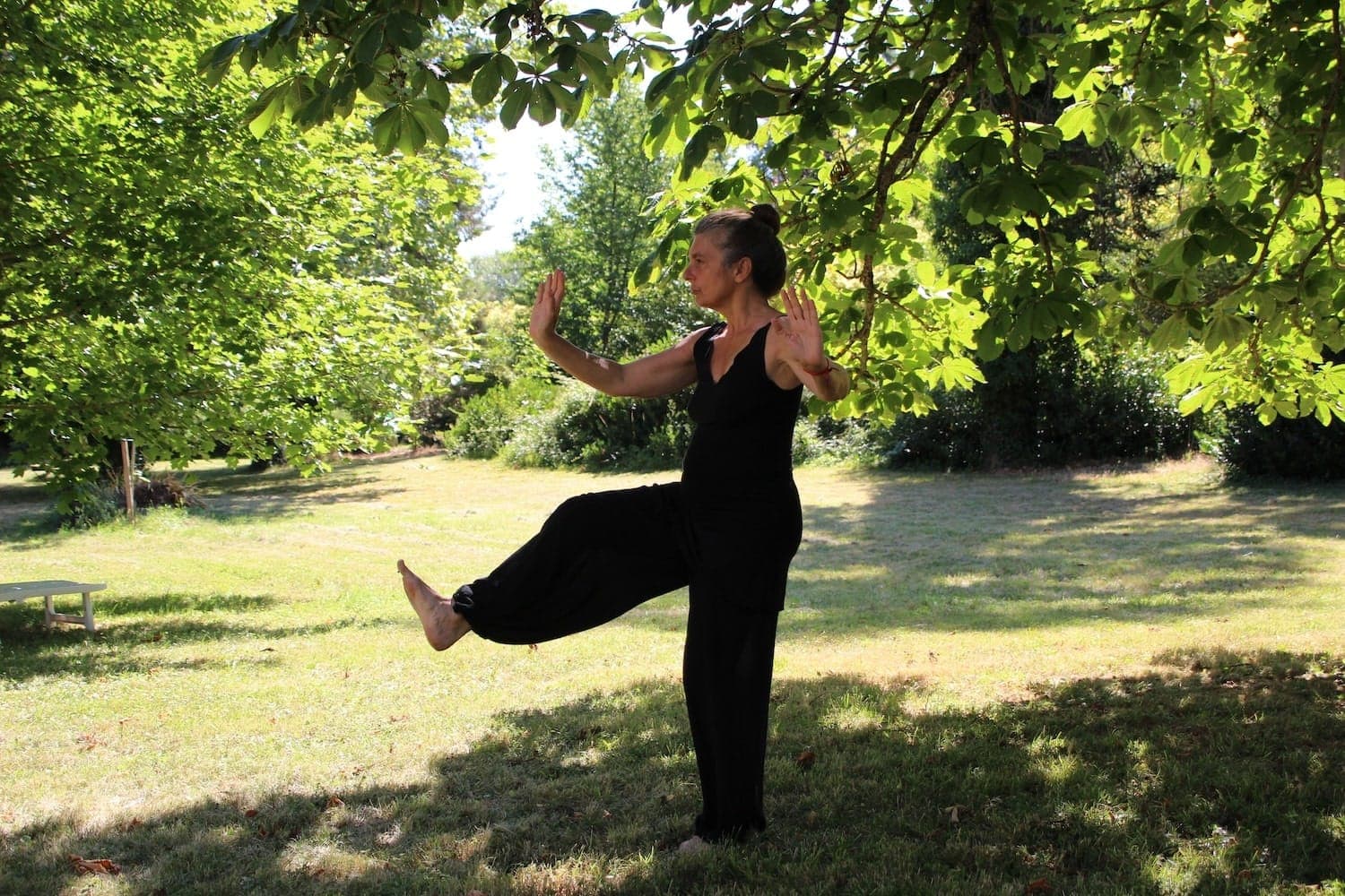 Person stood in a Tai chi pose on grass surrounded by trees.