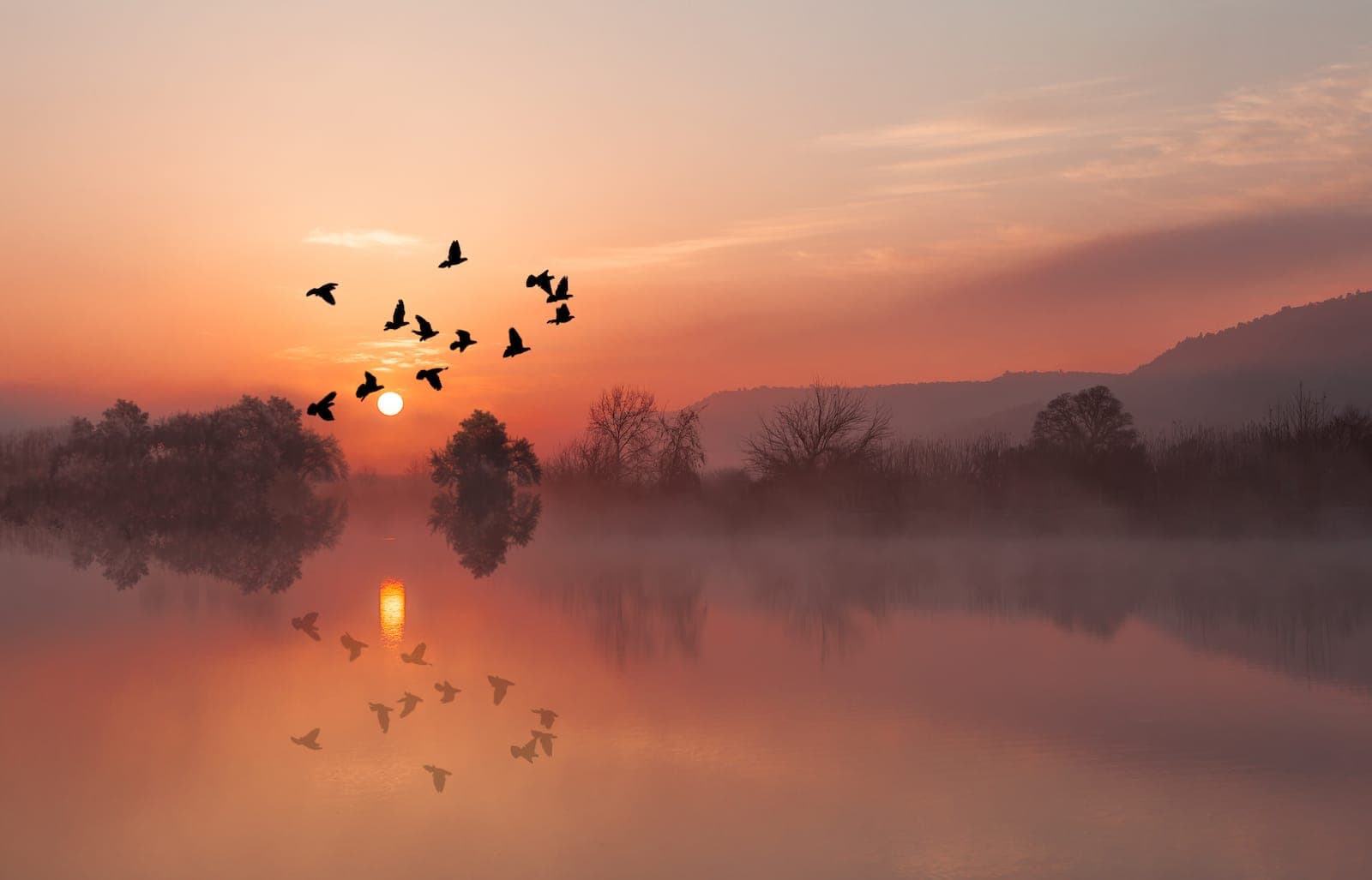 What is prolonged grief disorder?