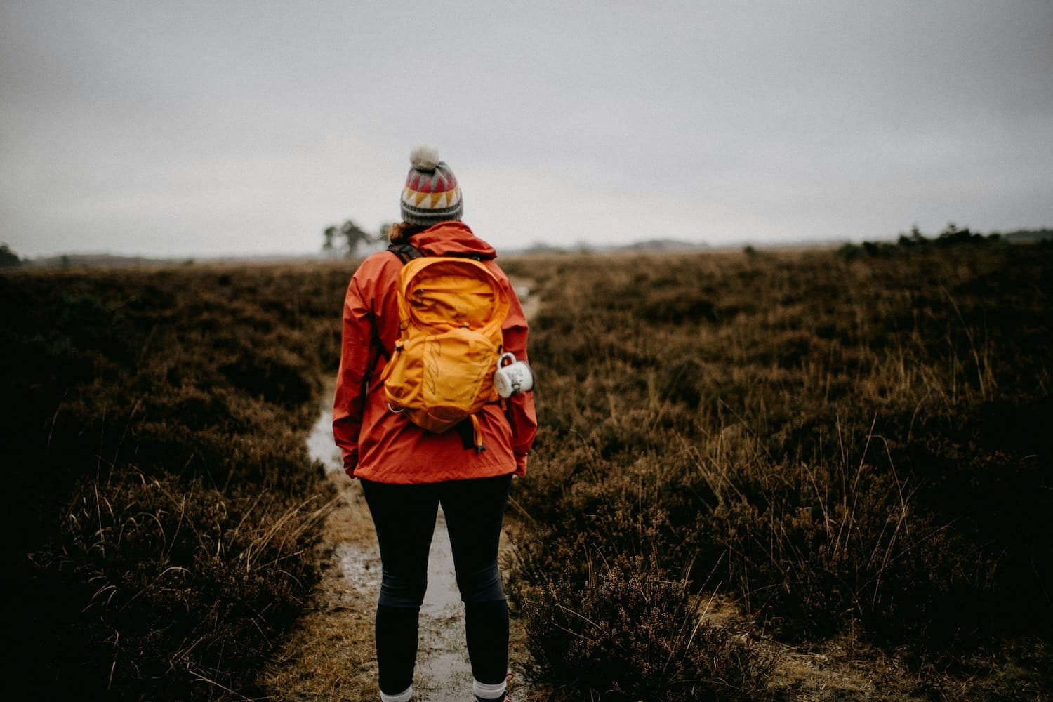 Image shows person walking through grassland with backpack.